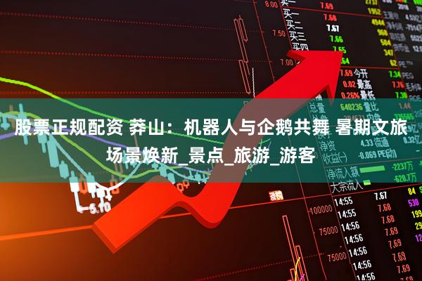 股票正规配资 莽山：机器人与企鹅共舞 暑期文旅场景焕新_景点_旅游_游客