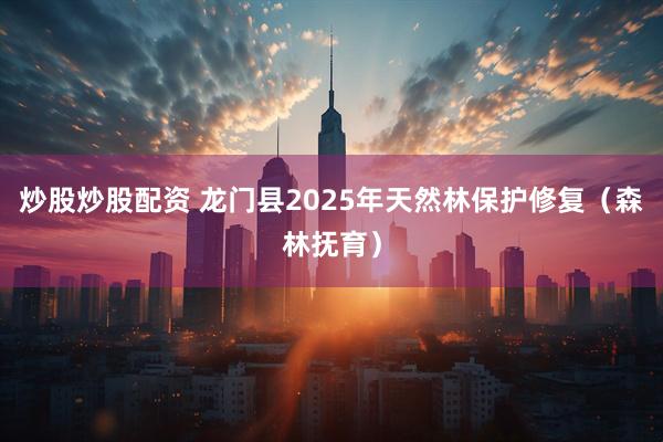 炒股炒股配资 龙门县2025年天然林保护修复（森林抚育）